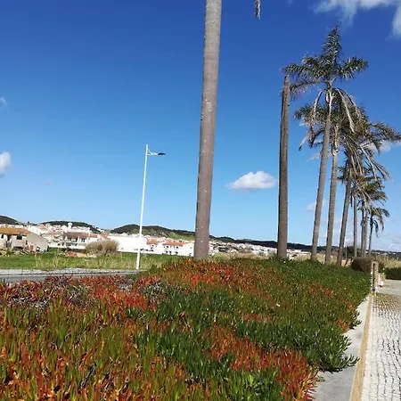Casa Palmeira Apartment